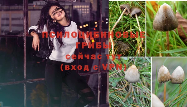 марки nbome Медногорск