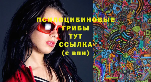 гашик Медвежьегорск