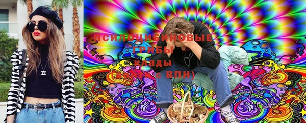 гашик Волгодонск