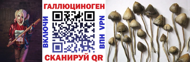 Галлюциногенные грибы MAGIC MUSHROOMS  omg сайт  Южа 